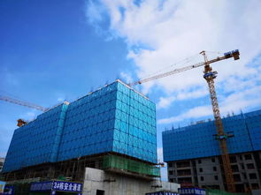 期待已久的青春里將于7月10 19日限量發(fā)售vip認(rèn)籌卡,7月21日盛大開(kāi)盤
