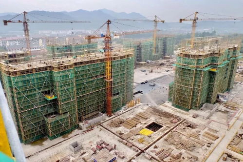 建筑工程質(zhì)量潛在缺陷保險(xiǎn) idi ,國(guó)際和國(guó)內(nèi)情況