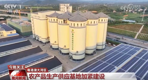 假期堅守一線勇?lián)?dāng) 推進(jìn)重大工程項目建設(shè)按下 加速鍵